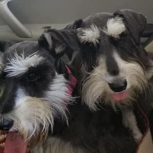 Meet your Posher, Sharon